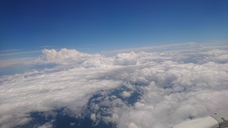 DSC_0135.JPG