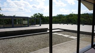 DSC_0136.JPG