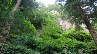 DSC_0179.JPG