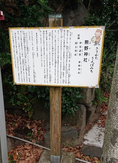 DSC_0248A.jpg