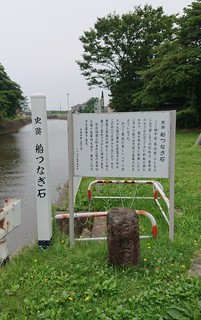 DSC_0251A.jpg
