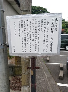 DSC_0259A.jpg