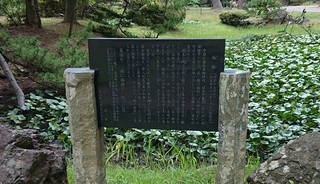 DSC_0265A.jpg